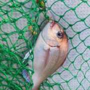 ヒメ日記 2025/03/22 21:22 投稿 ののか 秋葉原コスプレ学園(AKG)