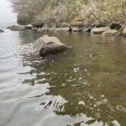 ヒメ日記 2025/04/05 11:21 投稿 ののか 秋葉原コスプレ学園(AKG)