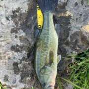 ヒメ日記 2025/04/11 13:51 投稿 ののか 秋葉原コスプレ学園(AKG)