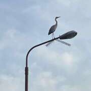 ヒメ日記 2025/04/14 18:53 投稿 ののか 秋葉原コスプレ学園(AKG)