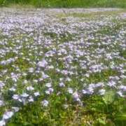 ヒメ日記 2025/04/19 16:02 投稿 ののか 秋葉原コスプレ学園(AKG)