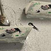 ヒメ日記 2025/04/27 17:02 投稿 ののか 秋葉原コスプレ学園(AKG)