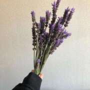 ヒメ日記 2025/05/06 14:56 投稿 ののか 秋葉原コスプレ学園(AKG)