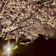 ヒメ日記 2025/06/13 17:51 投稿 ののか 秋葉原コスプレ学園(AKG)