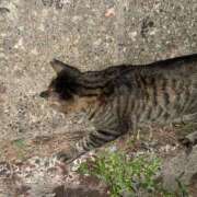 ヒメ日記 2025/06/14 11:51 投稿 ののか 秋葉原コスプレ学園(AKG)