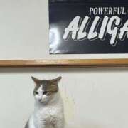 ヒメ日記 2025/06/17 12:21 投稿 ののか 秋葉原コスプレ学園(AKG)