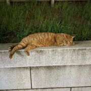 ヒメ日記 2025/06/17 18:02 投稿 ののか 秋葉原コスプレ学園(AKG)