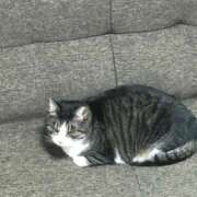 ヒメ日記 2025/07/06 14:51 投稿 ののか 秋葉原コスプレ学園(AKG)