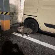 ヒメ日記 2025/07/15 18:34 投稿 ののか 秋葉原コスプレ学園(AKG)