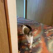 ヒメ日記 2025/07/15 18:35 投稿 ののか 秋葉原コスプレ学園(AKG)