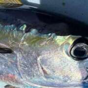 ヒメ日記 2025/07/26 11:58 投稿 ののか 秋葉原コスプレ学園(AKG)