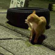 ヒメ日記 2025/08/10 19:02 投稿 ののか 秋葉原コスプレ学園(AKG)