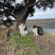 ヒメ日記 2025/08/10 19:21 投稿 ののか 秋葉原コスプレ学園(AKG)