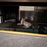 ヒメ日記 2025/09/05 16:51 投稿 ののか 秋葉原コスプレ学園(AKG)