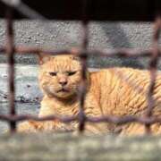 ヒメ日記 2025/09/10 16:21 投稿 ののか 秋葉原コスプレ学園(AKG)