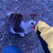 ヒメ日記 2025/09/14 14:49 投稿 ののか 秋葉原コスプレ学園(AKG)