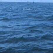 ヒメ日記 2025/09/14 14:50 投稿 ののか 秋葉原コスプレ学園(AKG)