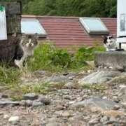 ヒメ日記 2025/09/29 14:41 投稿 ののか 秋葉原コスプレ学園(AKG)