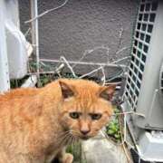 ヒメ日記 2025/09/29 16:02 投稿 ののか 秋葉原コスプレ学園(AKG)