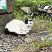 ヒメ日記 2025/10/11 11:52 投稿 ののか 秋葉原コスプレ学園(AKG)