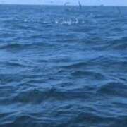 ヒメ日記 2025/10/13 20:21 投稿 ののか 秋葉原コスプレ学園(AKG)