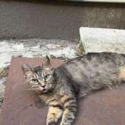 ヒメ日記 2025/11/06 15:51 投稿 ののか 秋葉原コスプレ学園(AKG)