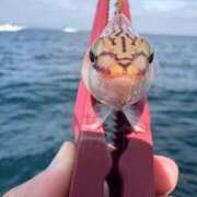 ヒメ日記 2025/11/27 16:31 投稿 ののか 秋葉原コスプレ学園(AKG)