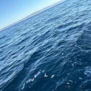 ヒメ日記 2025/12/09 12:11 投稿 ののか 秋葉原コスプレ学園(AKG)