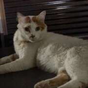 ヒメ日記 2025/12/09 12:21 投稿 ののか 秋葉原コスプレ学園(AKG)