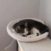 ヒメ日記 2025/12/10 17:51 投稿 ののか 秋葉原コスプレ学園(AKG)