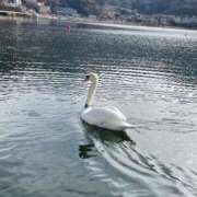 ヒメ日記 2026/01/12 12:02 投稿 ののか 秋葉原コスプレ学園(AKG)