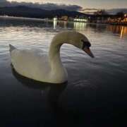 ヒメ日記 2026/02/06 13:01 投稿 ののか 秋葉原コスプレ学園(AKG)