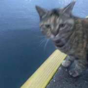 ヒメ日記 2026/02/06 13:41 投稿 ののか 秋葉原コスプレ学園(AKG)