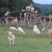 ヒメ日記 2026/02/08 14:31 投稿 ののか 秋葉原コスプレ学園(AKG)