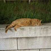 ヒメ日記 2026/02/10 18:20 投稿 ののか 秋葉原コスプレ学園(AKG)