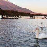 ヒメ日記 2026/02/26 15:51 投稿 ののか 秋葉原コスプレ学園(AKG)