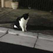 ヒメ日記 2026/03/04 18:48 投稿 ののか 秋葉原コスプレ学園(AKG)