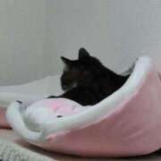 ヒメ日記 2026/03/04 19:01 投稿 ののか 秋葉原コスプレ学園(AKG)