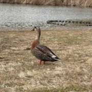 ヒメ日記 2026/03/06 15:02 投稿 ののか 秋葉原コスプレ学園(AKG)