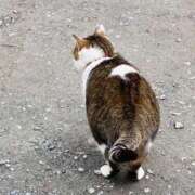 ヒメ日記 2026/03/10 18:41 投稿 ののか 秋葉原コスプレ学園(AKG)