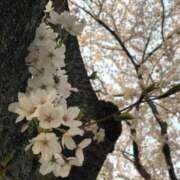 ヒメ日記 2026/03/10 18:45 投稿 ののか 秋葉原コスプレ学園(AKG)