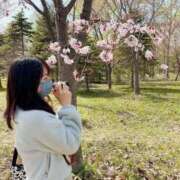 ヒメ日記 2026/03/12 15:21 投稿 ののか 秋葉原コスプレ学園(AKG)