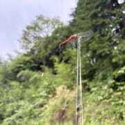 ヒメ日記 2026/03/25 12:51 投稿 ののか 秋葉原コスプレ学園(AKG)