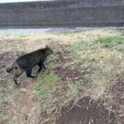 ヒメ日記 2026/04/06 16:01 投稿 ののか 秋葉原コスプレ学園(AKG)