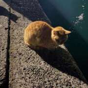 ヒメ日記 2026/04/13 15:02 投稿 ののか 秋葉原コスプレ学園(AKG)