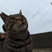 ののか 今日明日出勤🌸 秋葉原コスプレ学園(AKG)