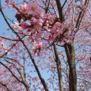 ののか ありがとうございました🌷 秋葉原コスプレ学園(AKG)