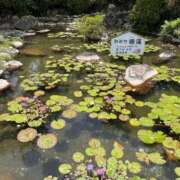 ヒメ日記 2026/05/20 10:51 投稿 ののか 秋葉原コスプレ学園(AKG)