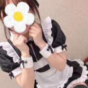 ヒメ日記 2026/10/01 10:52 投稿 ののか 秋葉原コスプレ学園(AKG)