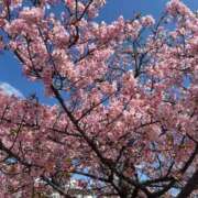 ヒメ日記 2026/03/07 18:17 投稿 かぐら 熟女家 梅田店